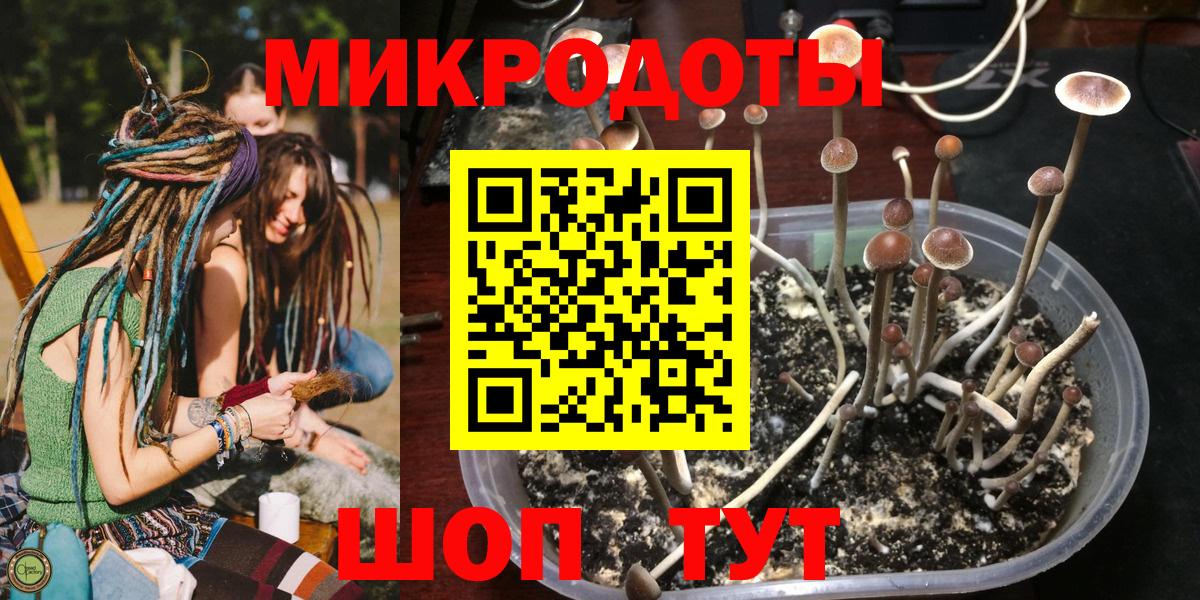 Гусиноозёрск  Псилоцибиновые грибы Cubensis  Вход с VPN 