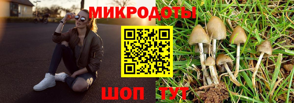 Галлюциногенные грибы прущие грибы Гусиноозёрск